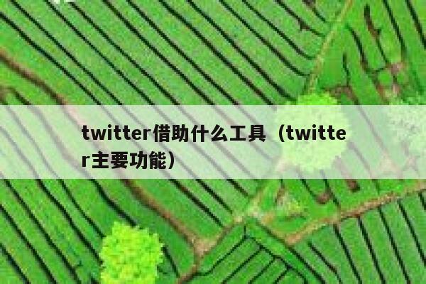 twitter借助什么工具(twitter主要功能) 第1张 twitter借助什么工具(twitter主要功能) 第1张
