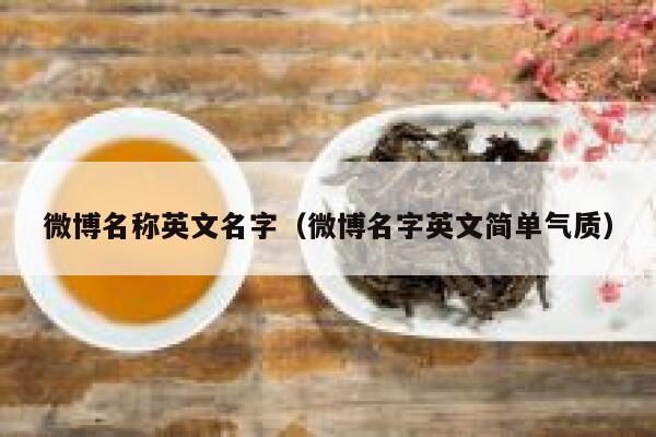 微博名称英文名字（微博名字英文简单气质） 第1张