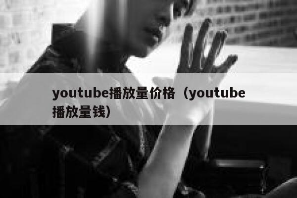 youtube播放量价格（youtube播放量钱） 第1张