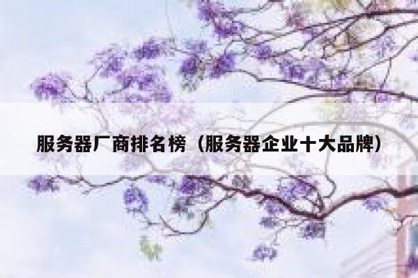 服务器厂商排名榜（服务器企业十大品牌） 第1张