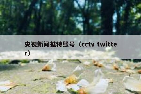 央视新闻推特账号（cctv twitter） 第1张