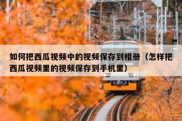 如何把西瓜视频中的视频保存到相册（怎样把西瓜视频里的视频保存到手机里） 第1张