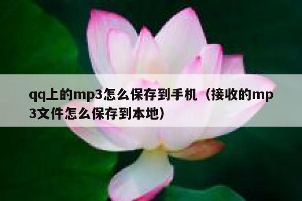 qq上的mp3怎么保存到手机（接收的mp3文件怎么保存到本地） 第1张