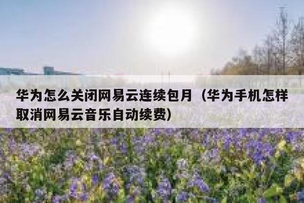 华为怎么关闭网易云连续包月（华为手机怎样取消网易云音乐自动续费） 第1张