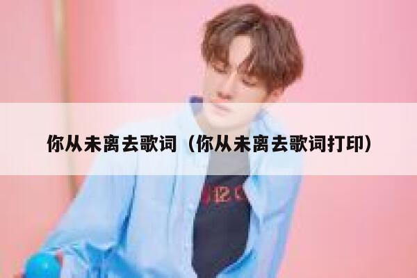 你从未离去歌词（你从未离去歌词打印） 第1张