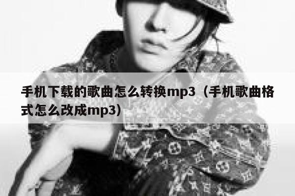 手机下载的歌曲怎么转换mp3（手机歌曲格式怎么改成mp3） 第1张