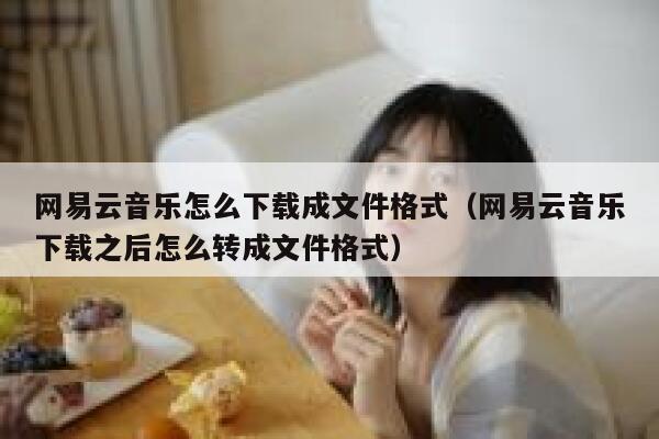 网易云音乐怎么下载成文件格式（网易云音乐下载之后怎么转成文件格式） 第1张