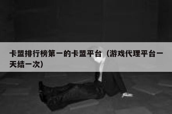 卡盟排行榜第一的卡盟平台（游戏代理平台一天结一次） 第1张