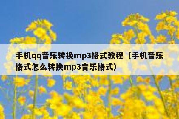 手机qq音乐转换mp3格式教程（手机音乐格式怎么转换mp3音乐格式） 第1张