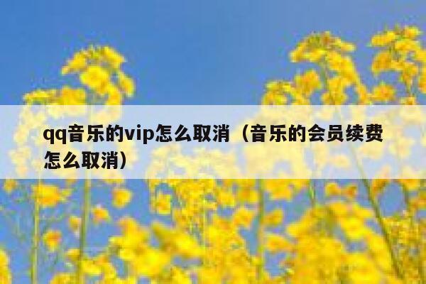 qq音乐的vip怎么取消（音乐的会员续费怎么取消） 第1张