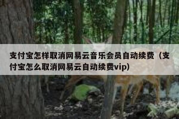 支付宝怎样取消网易云音乐会员自动续费（支付宝怎么取消网易云自动续费vip） 第1张