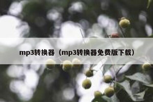 mp3转换器（mp3转换器免费版下载） 第1张