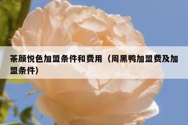 茶颜悦色加盟条件和费用（周黑鸭加盟费及加盟条件） 第1张