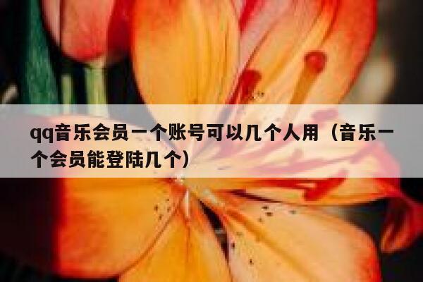qq音乐会员一个账号可以几个人用（音乐一个会员能登陆几个） 第1张