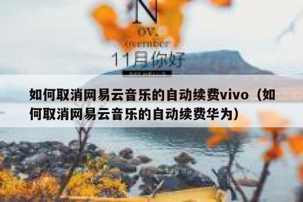 如何取消网易云音乐的自动续费vivo(如何取消网易云音乐的自动续费华为) 第1张 如何取消网易云音乐的自动续费vivo(如何取消网易云音乐的自动续费华为) 第1张