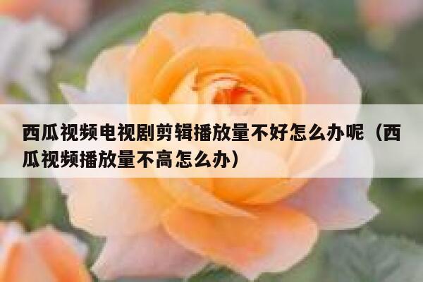西瓜视频电视剧剪辑播放量不好怎么办呢（西瓜视频播放量不高怎么办） 第1张