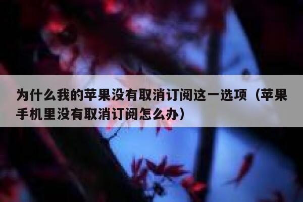 为什么我的苹果没有取消订阅这一选项（苹果手机里没有取消订阅怎么办） 第1张