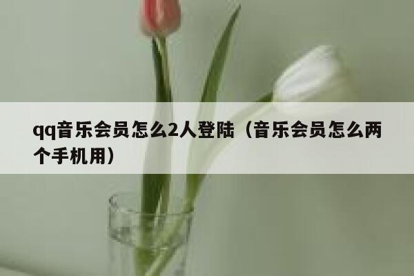 qq音乐会员怎么2人登陆（音乐会员怎么两个手机用） 第1张