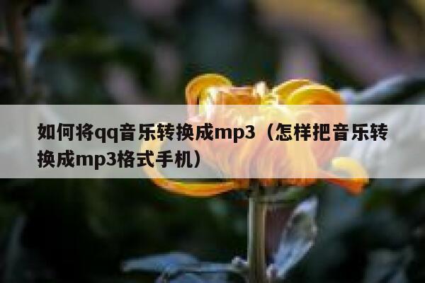 如何将qq音乐转换成mp3（怎样把音乐转换成mp3格式手机） 第1张
