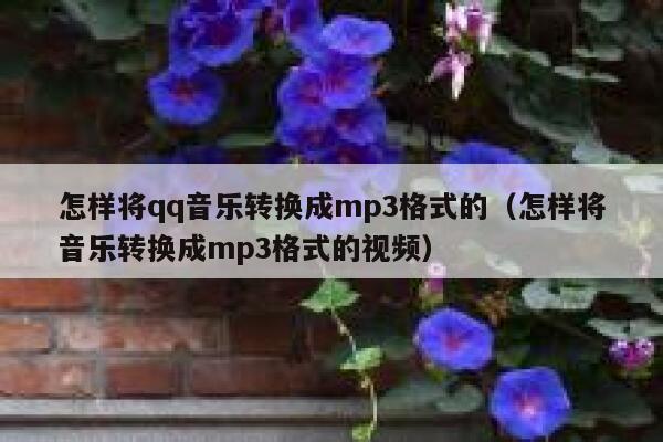 怎样将qq音乐转换成mp3格式的（怎样将音乐转换成mp3格式的视频） 第1张
