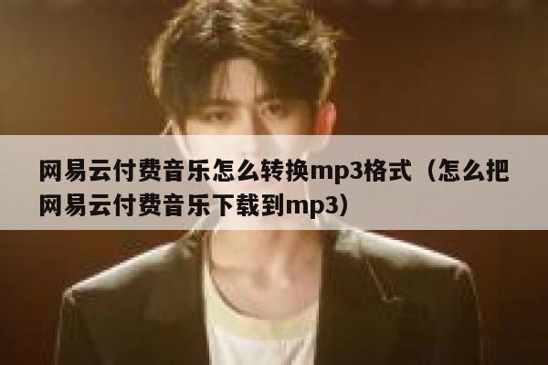 网易云付费音乐怎么转换mp3格式（怎么把网易云付费音乐下载到mp3） 第1张
