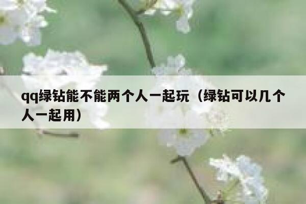qq绿钻能不能两个人一起玩（绿钻可以几个人一起用） 第1张