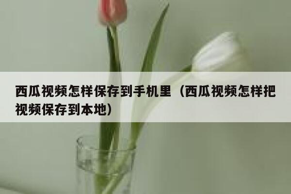 西瓜视频怎样保存到手机里（西瓜视频怎样把视频保存到本地） 第1张
