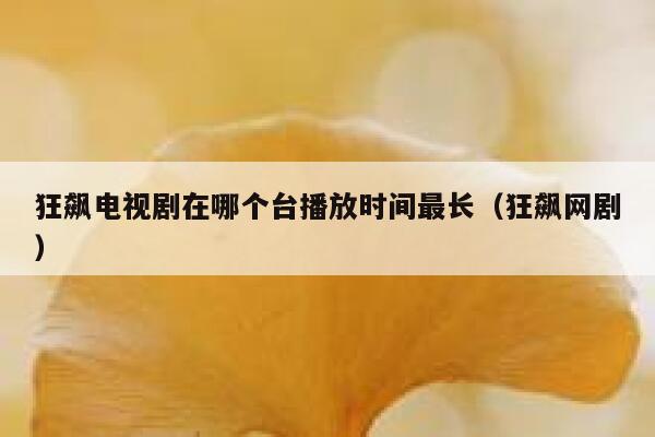狂飙电视剧在哪个台播放时间最长（狂飙网剧） 第1张