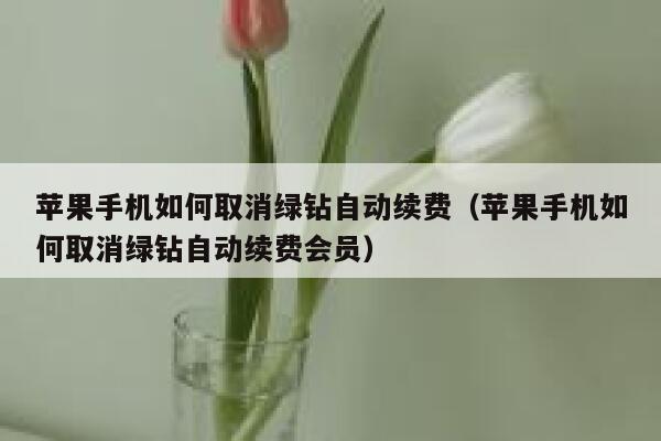 苹果手机如何取消绿钻自动续费(苹果手机如何取消绿钻自动续费会员) 第1张 苹果手机如何取消绿钻自动续费(苹果手机如何取消绿钻自动续费会员) 第1张