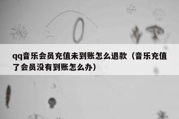 qq音乐会员充值未到账怎么退款（音乐充值了会员没有到账怎么办） 第1张