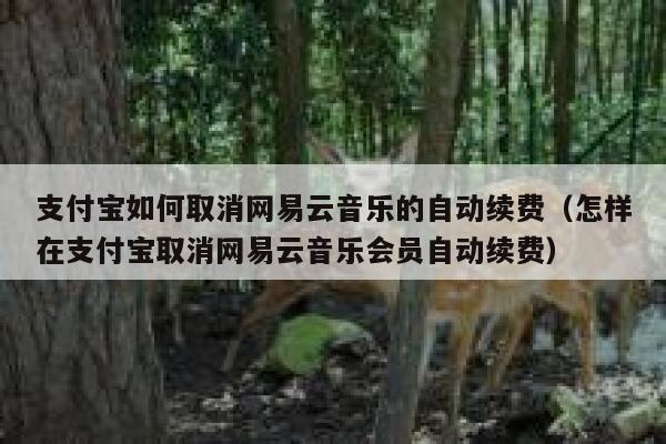 支付宝如何取消网易云音乐的自动续费（怎样在支付宝取消网易云音乐会员自动续费） 第1张