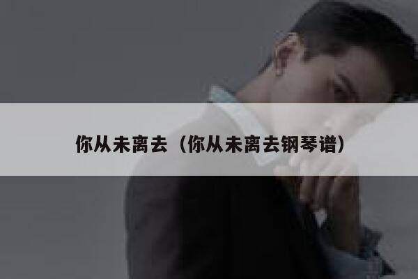 你从未离去（你从未离去钢琴谱） 第1张