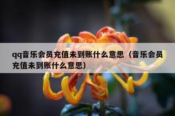 qq音乐会员充值未到账什么意思（音乐会员充值未到账什么意思） 第1张