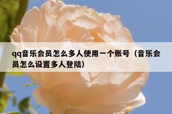 qq音乐会员怎么多人使用一个账号（音乐会员怎么设置多人登陆） 第1张