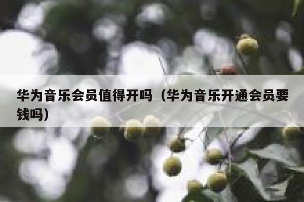 华为音乐会员值得开吗（华为音乐开通会员要钱吗） 第1张