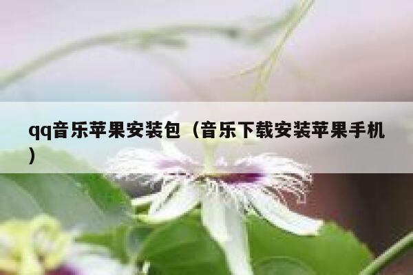 qq音乐苹果安装包（音乐下载安装苹果手机） 第1张