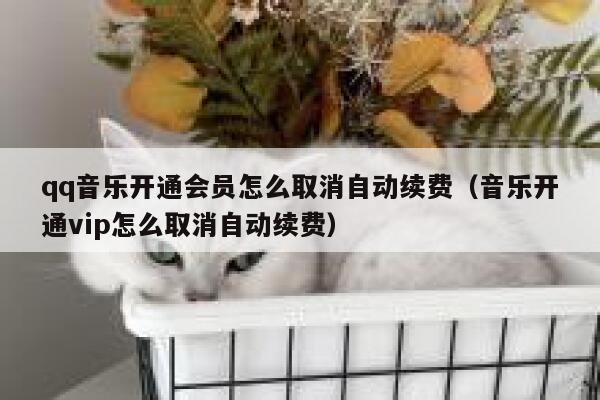qq音乐开通会员怎么取消自动续费（音乐开通vip怎么取消自动续费） 第1张