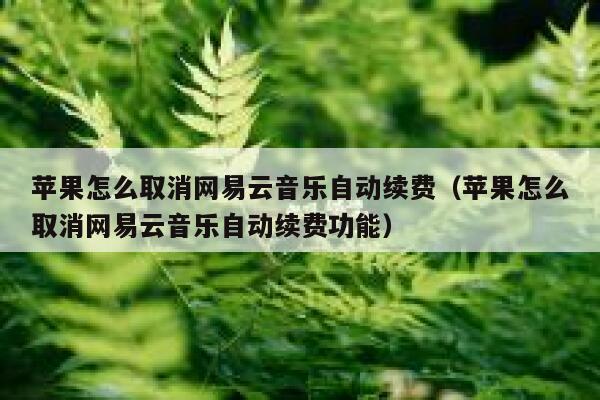 苹果怎么取消网易云音乐自动续费（苹果怎么取消网易云音乐自动续费功能） 第1张