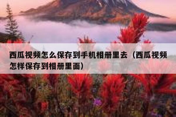 西瓜视频怎么保存到手机相册里去（西瓜视频怎样保存到相册里面） 第1张