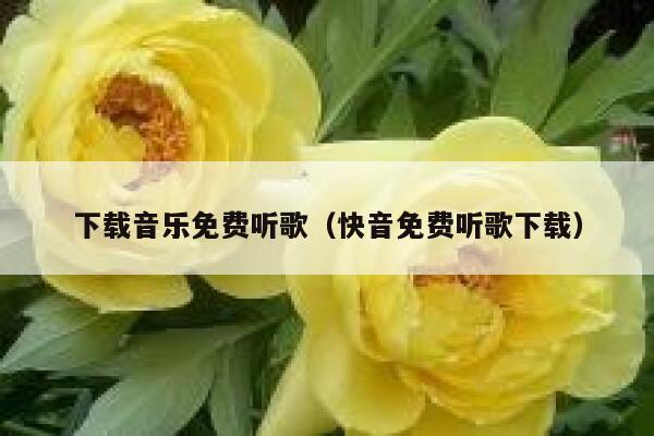 下载音乐免费听歌（快音免费听歌下载） 第1张