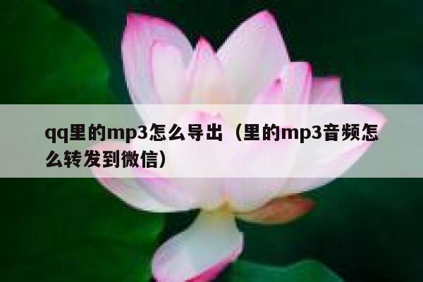 qq里的mp3怎么导出（里的mp3音频怎么转发到微信） 第1张