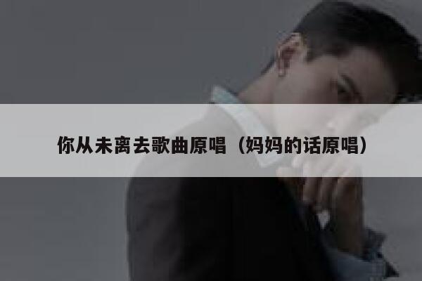 你从未离去歌曲原唱（妈妈的话原唱） 第1张