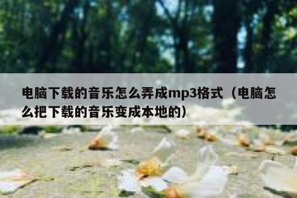 电脑下载的音乐怎么弄成mp3格式（电脑怎么把下载的音乐变成本地的） 第1张