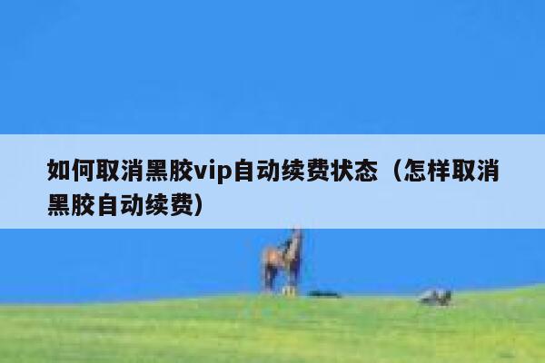 如何取消黑胶vip自动续费状态（怎样取消黑胶自动续费） 第1张