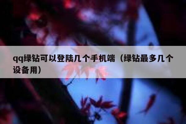 qq绿钻可以登陆几个手机端（绿钻最多几个设备用） 第1张