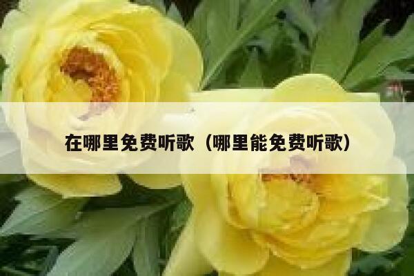 在哪里免费听歌（哪里能免费听歌） 第1张