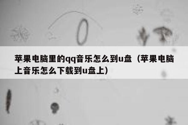 苹果电脑里的qq音乐怎么到u盘（苹果电脑上音乐怎么下载到u盘上） 第1张