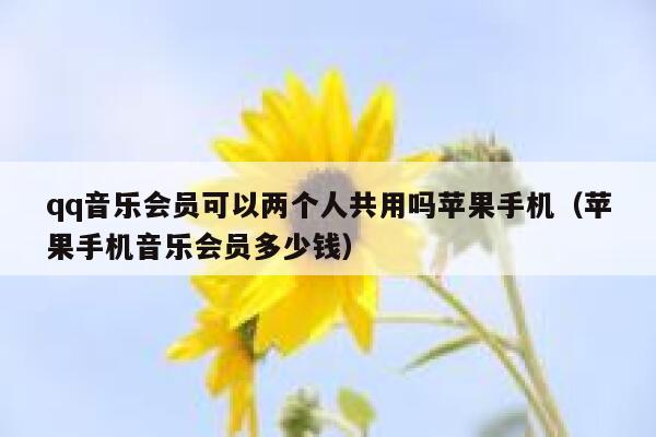 qq音乐会员可以两个人共用吗苹果手机（苹果手机音乐会员多少钱） 第1张