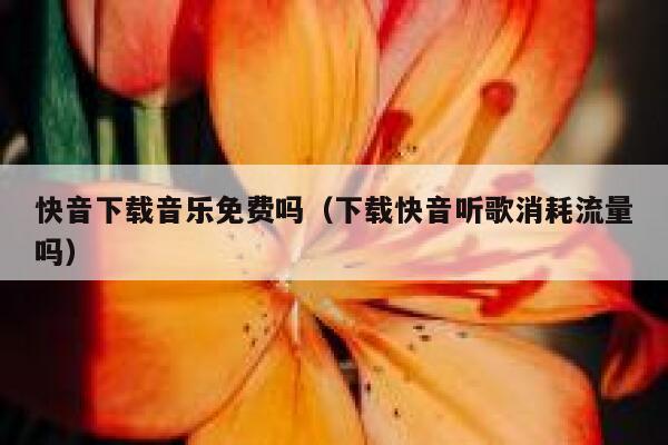 快音下载音乐免费吗（下载快音听歌消耗流量吗） 第1张