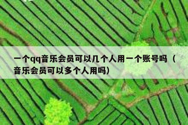 一个qq音乐会员可以几个人用一个账号吗（音乐会员可以多个人用吗） 第1张